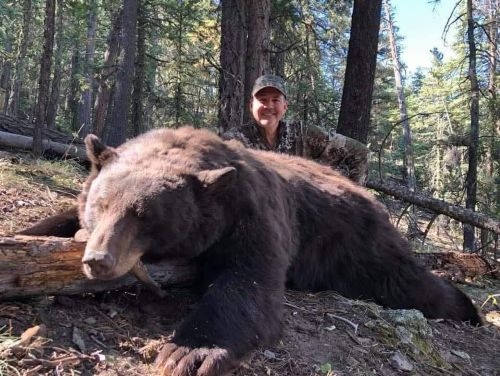 Black Bear Hunts Black Bear Hunts